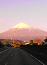よく晴れたので富士山が見えました