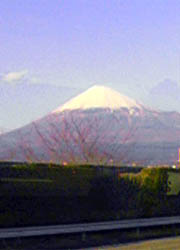 よく晴れたので富士山が見えました
