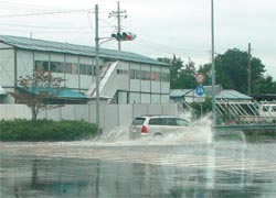 台風のあと