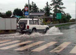 台風のあと