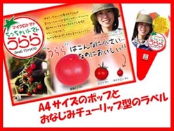 マイクロトマトうらら