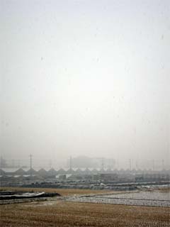 農場に雪
