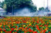 nastafield2.jpg (118605 バイト)
