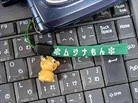ムジナもんだよ~