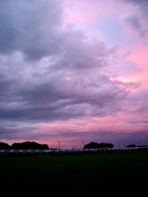 夕暮れの農場